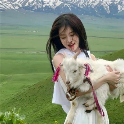 工作细胞：细胞大作战